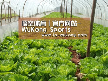 种植基地五