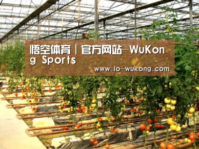 种植基地二