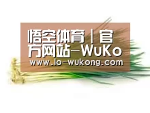 产品名称二